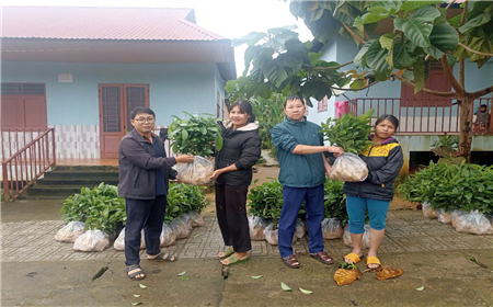 Văn phòng Huyện ủy Nam Trà My - Chung tay vì người nghèo, hướng tới mục tiêu không để ai bị bỏ lại phía sau