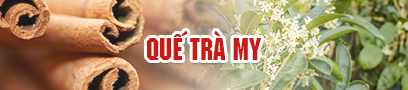 Quế Trà My